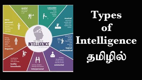 Types Of Intelligence And Theories Of Intelligence Ep39 Basic