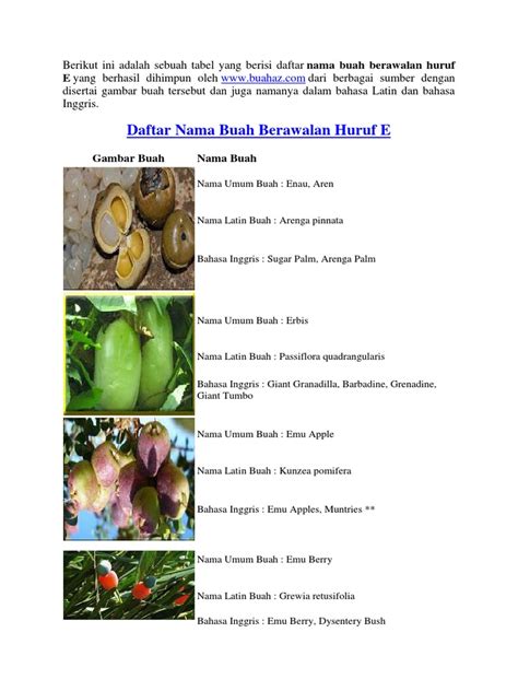 363 nama bayi perempuan dari huruf a sampai z dan rangkaian nama bayi perempuan modern yang bisa menjadi inspirasi nama putri anda. Daftar Nama Buah Berawalan Huruf E