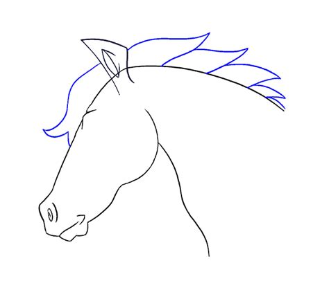 How To Draw A Horses Head Easy Drawing Guides