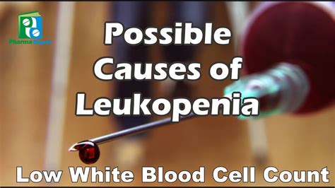 Possible Causes Of Leukopenia Youtube