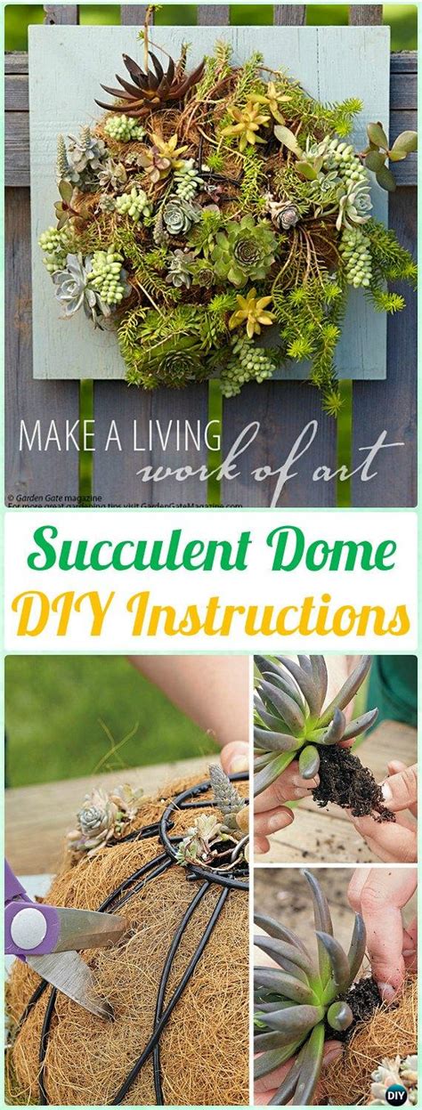 Diy Indoor Outdoor Succulent Garden Ideas Projects