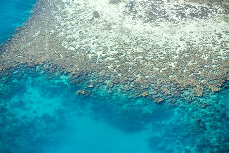 Reef Patterns Namotu Island Fiji Frothers Gallery
