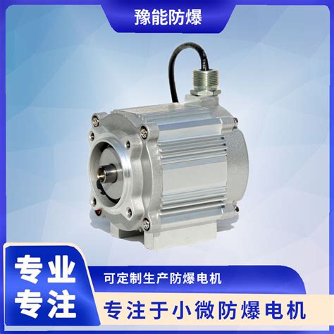 Direct Current Brushless Permanent Magnet Motor For Oil And Gas