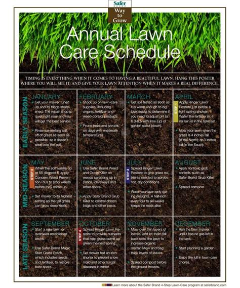 Southern Lawn Care Schedule Best Website 2022