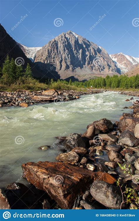 Altai Mountain And River Forest Stock Photo Image Of Kvv515kvv Aktru