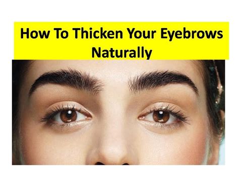How To Grow Thick Eyebrows Fast Youtube
