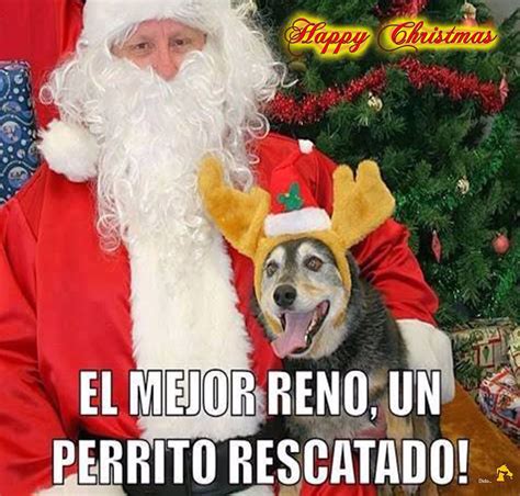 Lista 91 Foto Perro Con Gorro De Navidad Meme Cena Hermosa