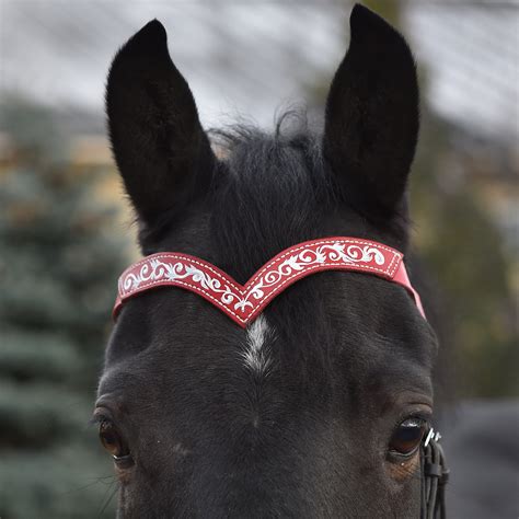 Wedding Browband For Horses Red Pony Draft Brow Band Horse Etsy