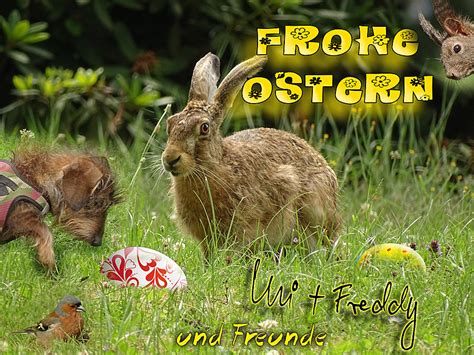 Ostergrüße und osterkarten bei kisseo per email oder per post verschicken. Ostergrüße Foto & Bild | fun-montagen, quatsch & fun ...