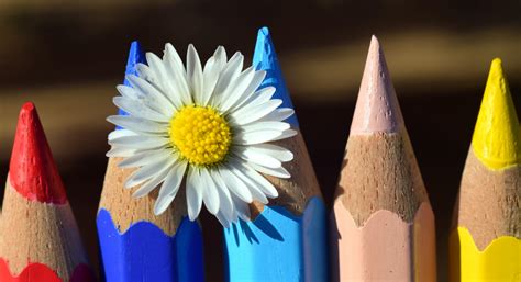 Born Different: Teaching Kids How To Talk to Someone Who Looks Different