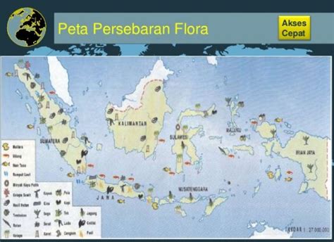 Peta Persebaran Flora dan Fauna di Indonesia Beserta Gambar
