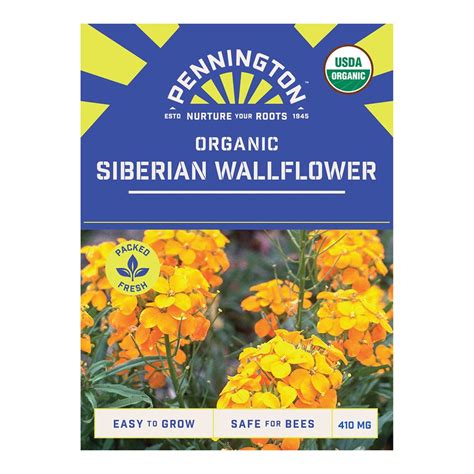 Pennington Organic Siberian Wallflower Seeds
