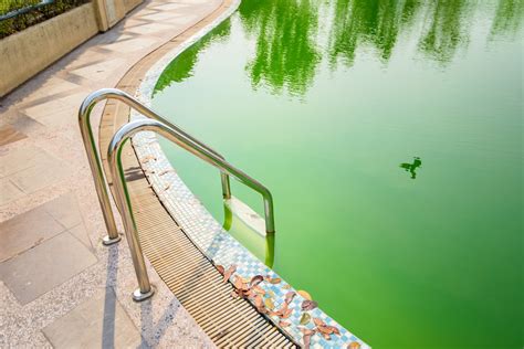 We did not find results for: Was tun gegen grünes Poolwasser - Poolomio Magazin
