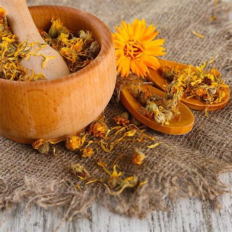 Browse through our wide selection of medical marijuana products, and find the one that suits your specific needs best. Dried Marigolds Calendula Dried Flowers Petals Wedding ...
