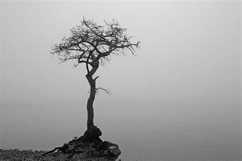 11 Minimalist Nature Photos That Will Leave You Speechless