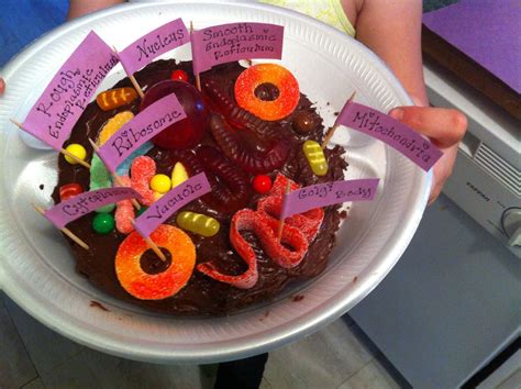 Edible Animal Cell Project Very Proud Of How It Turned Out A For The