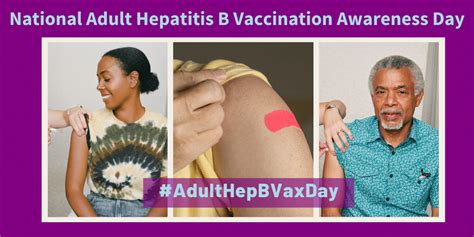 Implementing hbv schedule to high risk groups such as injection drug users, inmates of correctional centers, and persons at risk for sexually transmitted. The Need for a National Adult Hep B Vaccine Awareness Day ...