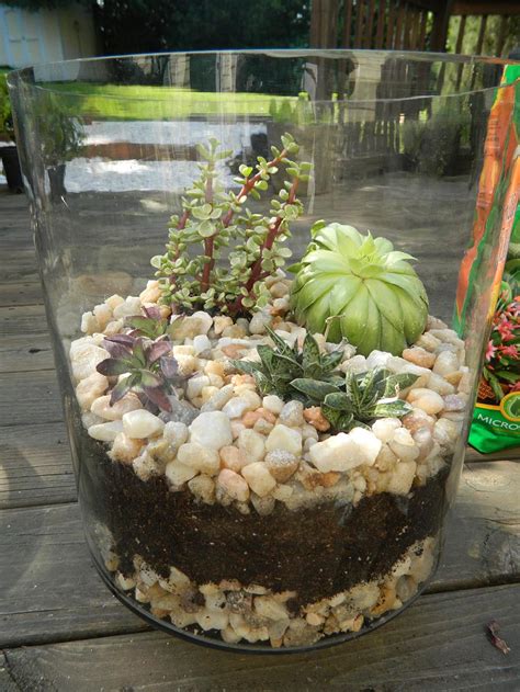 Succulent Container Garden Designs Best Garden Ideas