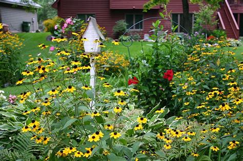 2016 Gardening Trends From American Meadows