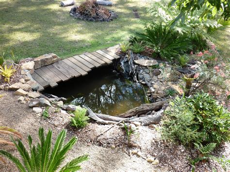 Beautiful backyard ponds and cool water garden ideas. Book now for our workshop to learn about frogs, frog ponds ...