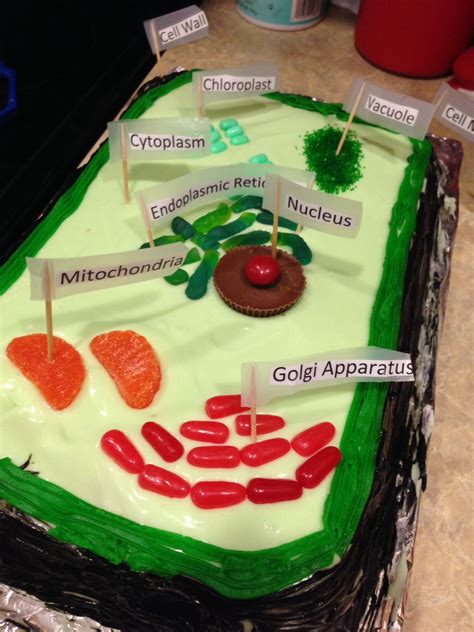 Edible Plant Cell Cake Key Lime Cake And Candy Edible Cell Plant Cell
