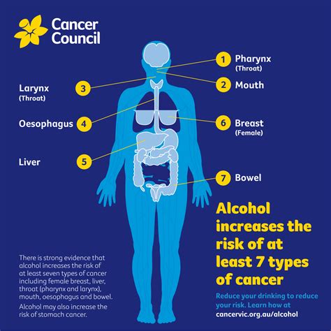 Reducing Your Drinking Will Reduce Your Cancer Risk Cancer Council