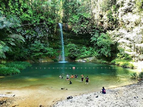 61 meter, katanya dalam satu kenyataan di sini. Nikmati makanan laut segar di Air Terjun Bukit Lambir ...