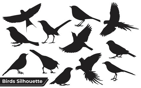 Flying Different Type Of Birds Silhouette With Wings 4814020 Vector Art