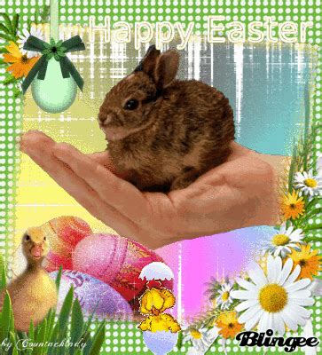 Klickt auf die bilder, um diese jetzt kostenlos herunterzuladen und hoppelt dann zum leuchtkasten der woche bunny hop, dort findet ihr noch mehr zum thema ostern. Ostern - Kostenlose Gästebuchbilder