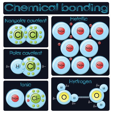 Chemical Bonding Chart