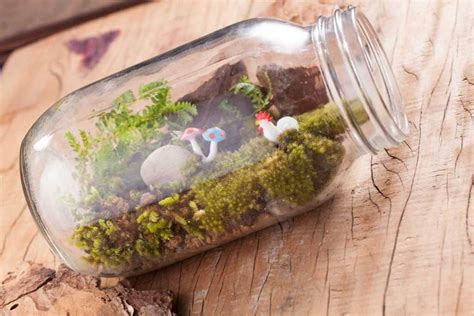 38 Fantastic Moss Terrarium Ideas You Can Have At Home