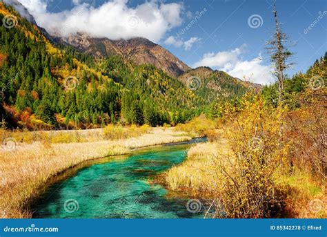 Scenic View Of Green River With Crystal Water Among Fall Fields Stock