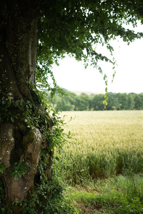 Les Jardins Remarquables Du Berry Les Plus Beaux Jardins Jardins