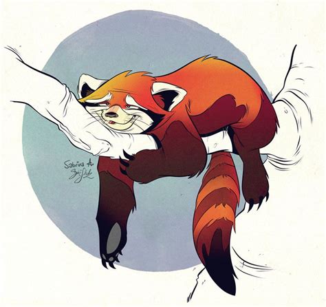 Red Panda By Themrock On Deviantart Panda Illustration Panda Art