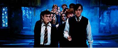 Harry Hermione Potter Granger Daniel Fanfiction Nerdtrendy