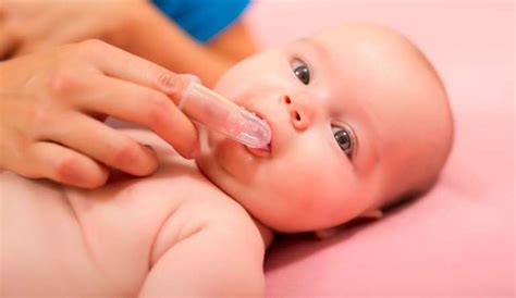 Buenos Hábitos Orales En El Bebé Revista Pediatría Y Familia