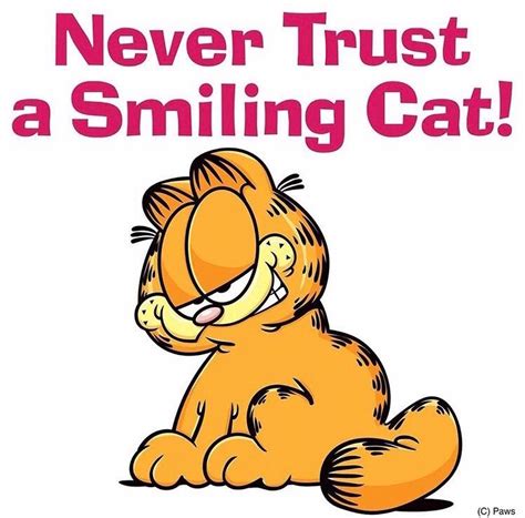 Pin By Oscar Gallardo On All About Cats And More Garfield Quotes