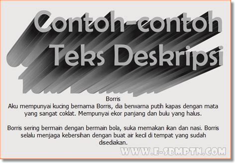 Penjelasan dan Contoh Teks Deskripsi Singkat | SOAL UTBK SAINTEK SOSHUM