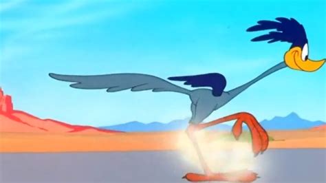 watch looney tunes road runner and wile e coyote prime video