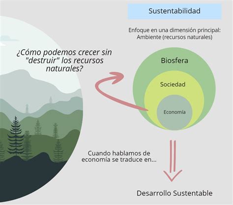 Desarrollo sustentable y sostenible Ejemplos Qué es y diferencias