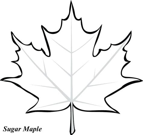 Jungle Leaves Coloring Pages at GetColorings.com | Free printable