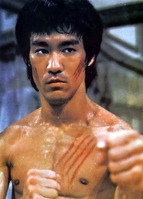 Bn Fanzine Bruce Lee Kung Fu Y Otras Puntadas Sobre El Cine De Artes