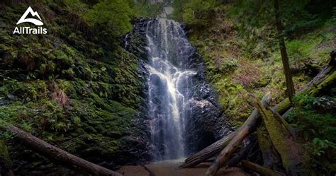 Best Trails In Big Basin Redwoods State Park California