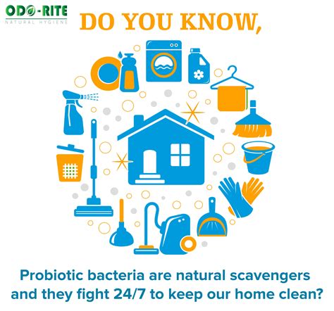 Even if you are using safe products like some essential oils, these can still be extremely harmful to your cat if it ingests them. Remove the odour with Odorite | Pet area, Natural air ...