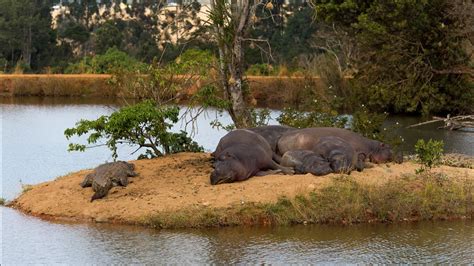 Mlilwane Wildlife Sanctuary | Swasiland 