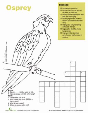 Crossword Bird - crossword lover