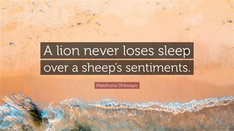 Matshona Dhliwayo Quote A Lion Never Loses Sleep Over A Sheeps