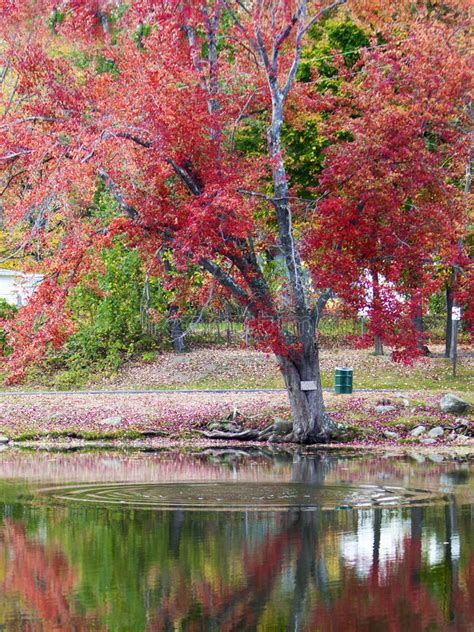 Beautiful Fall Scenery Stock Image Image Of Peaceful