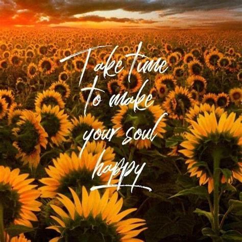 We hope you enjoy our growing collection of hd images to use as a background or home screen for your smartphone or computer. Pin by Brandy Head on Faith/Life in 2020 | Sunflower ...