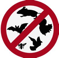 Nova road, south daytona, fl 32119. Proquest Pest & Animal Control - Community Members - Local ...